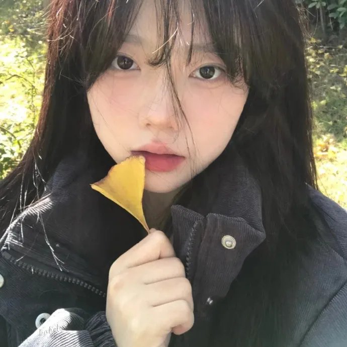 绝代双骄动画版